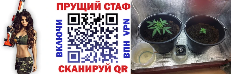 Купить наркотик аптеки Острогожск A PVP Меф АМФЕТАМИН ГАШ