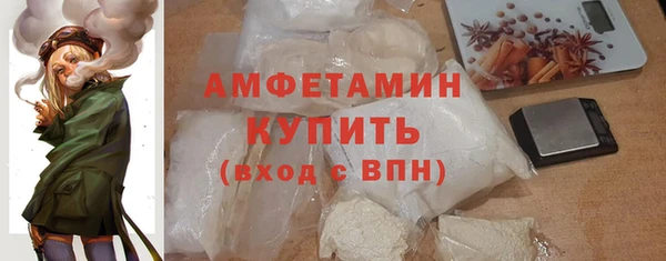 шишки Арсеньев