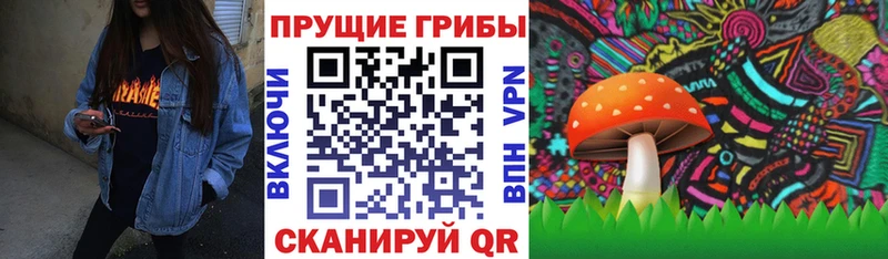 Псилоцибиновые грибы прущие грибы как найти наркотики Острогожск